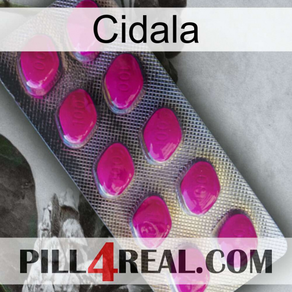 Cidala 09